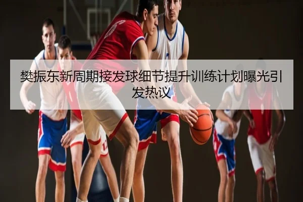 樊振东新周期接发球细节提升训练计划曝光引发热议